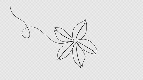 Flower. One line drawing animation with alpha channel. Stock Footage 271738161