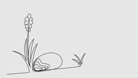 Flower. One line drawing animation with alpha channel. Stock Footage 273616013