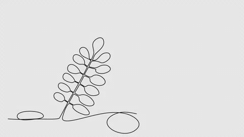 Flower. One line drawing animation with alpha channel. Stock Footage 273616436