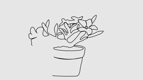 Flower. One line drawing animation with alpha channel. Video stock 301056154