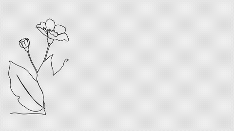 Flower. One line drawing animation with alpha channel. Stock Footage 304629862