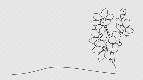 Flower. One line drawing animation with alpha channel. Stock Footage 304630217