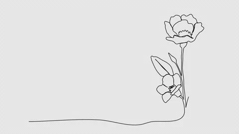 Flower. One line drawing animation with alpha channel. Stock Footage 304630545
