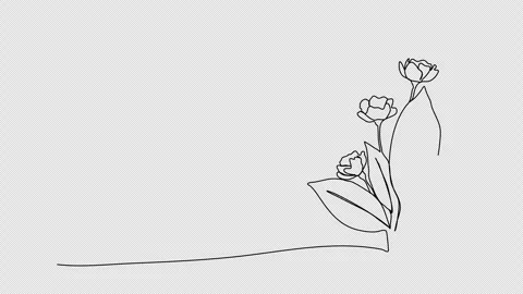Flower. One line drawing animation with alpha channel. Stock Footage 304630549