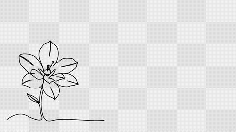 Flower. One line drawing animation with alpha channel. Stock Footage 308037029