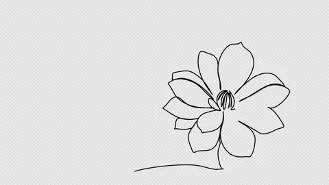Flower. One line drawing animation with alpha channel. Stock Footage 308070145
