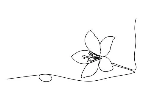 Flower one line drawing. Vector illustration. Stock Illustration