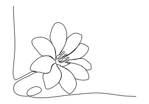 Flower one line drawing. Vector illustration. Stock Illustration