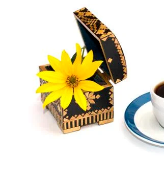 The flower in an open casket, isolate Stock Photos