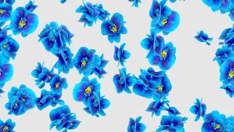 Flower Orchid blue loop tile swirling with alpha. This 3d animation with Stock Footage 264816004
