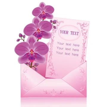 Flower orchid in envelope over white Ilustração Stock