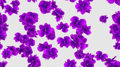 Flower Orchids purple loop tile swirling with alpha. This 3d animation Stock Footage 264776546
