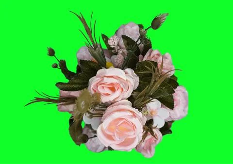 Flower ornaments Stock Photos
