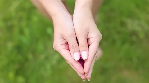 The flower on the palms of the hands Stock Footage 64689154