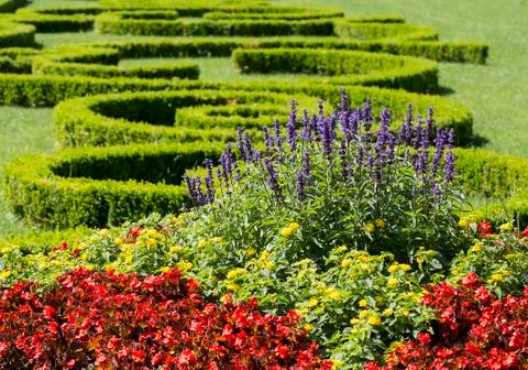 Flower park Stock Photos