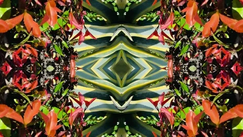 Flower Park Psychedelic VJ loop Stock Footage 318511798