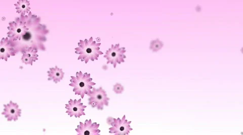 Flower particles Stock Footage 565131