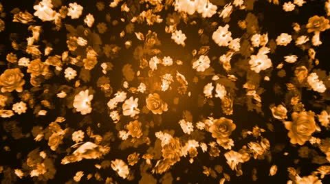 Flower Particles VBHD0387 Stock Footage 22615509