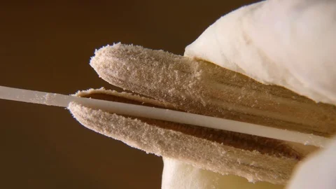 Flower parts Stock Footage 115012367