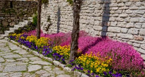 Flower path Stock Photos