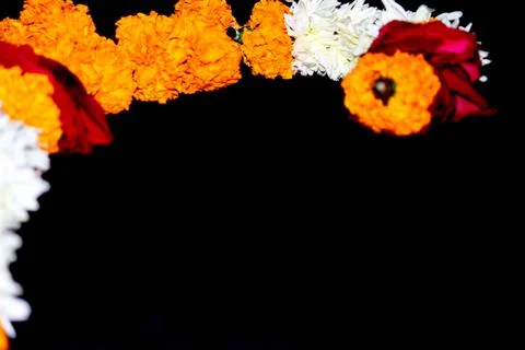 Flower pattern 1 Stock Photos