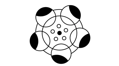 Flower Pattern Circles Icon Stock Footage 343509154