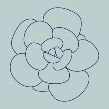 Flower pattern. Doodle Succulent. Desert flower for print and design. Stock Illustration