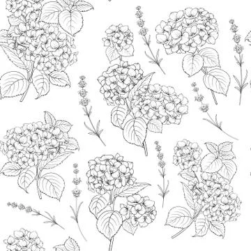 Flower pattern of hydrangea flowers. Stock Illustration