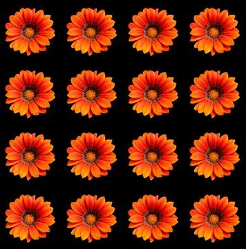 Flower pattern Foto stock