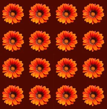 Flower pattern Stock Photos