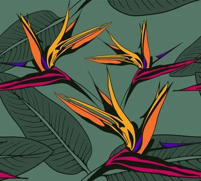 Flower pattern seamless vector background. Floral design illustration for tex Illustration