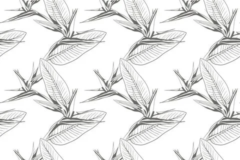 Flower pattern seamless vector background. Floral design illustration for tex Illustrazione stock