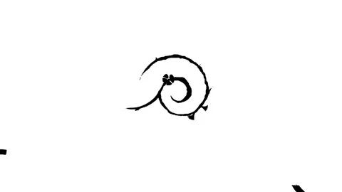 Flower patterns for transitions \ New quality universal motion dynamic animated Video stock 79868840