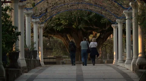 Flower Pergale. Stock Footage 51331372