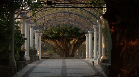 Flower Pergale. Stock Footage 51331446