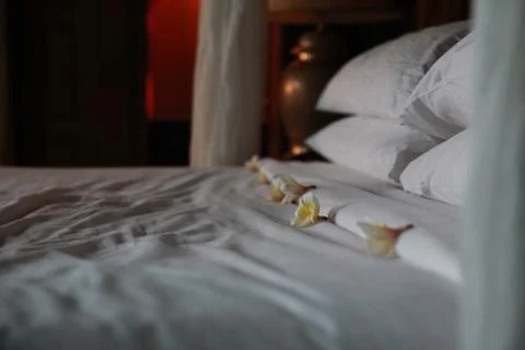 Flower Petals on a Bed Stock Photos