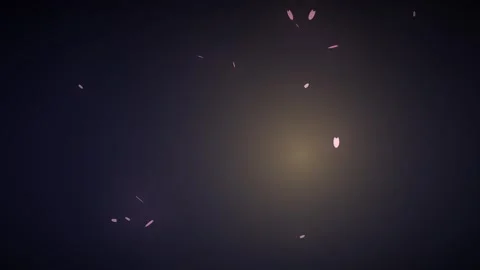 Flower petals drift softly in the air creating a light Stock Footage 338201007