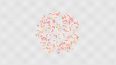 Flower petals explosion with alpha channel. Animation of petals explosion. Matte Stock Footage 277774132