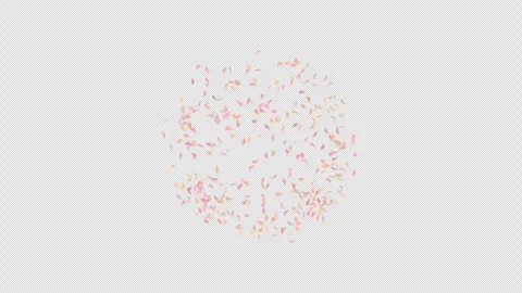 Flower petals explosion with alpha channel. Animation of petals explosion. Matte Stock Footage 277774169