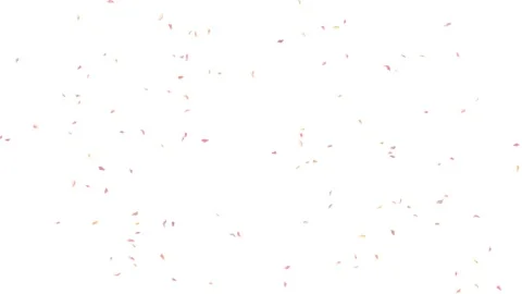 Flower petals explosion on white, blue, black background.  Stock Footage 277790266