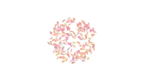 Flower petals explosion on white, blue, black background.  Stock Footage 277790277