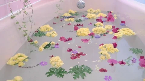 Flower Petals Fall onto the Surface of a Pink Bathtub Stock Footage 74004255