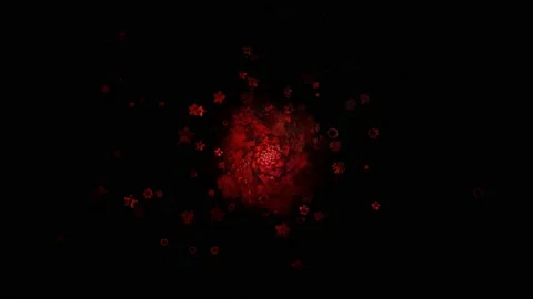 Flower petals falling 3D concepts - Stock-Footage 141781204