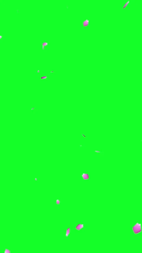 Flower Petals Falling Animation On Green Screen Stock Footage 346565304