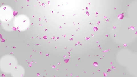 Flower Petals falling into camera, Pink Rose, Smelling flowers, Dust, Glitter Stock Footage 140371884