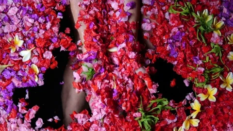 Flower petals float in the bathroom. Women's hands pick up rose petals from the Stock Footage 201278408