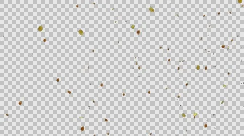 Flower Petals Floating Transparent Seamless Loop Background Yellow Orange Golden Stock Footage 64391630