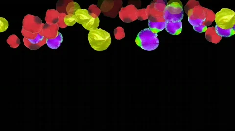 Flower petals Video stock 682143