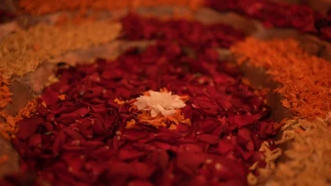 Flower Petals Stock Footage 247262310