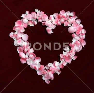 Flower Petals forming a heart shape ring Stock Photos